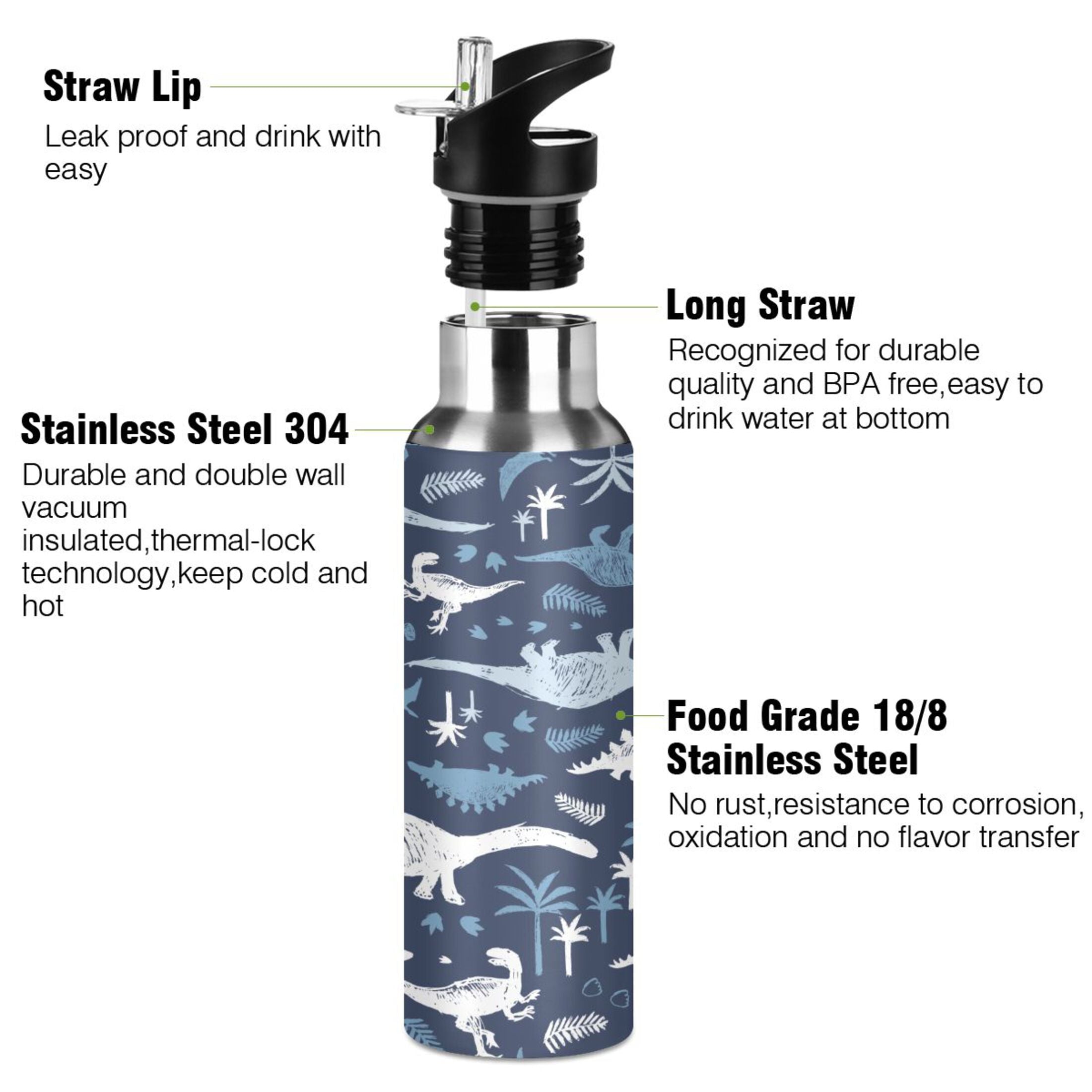 Blue Dinosaur Stainless Steel Insulated Water Bottle with Straw Lid Y88079