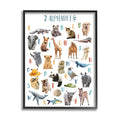 16 x 20 Animal Alphabet ABC's W677