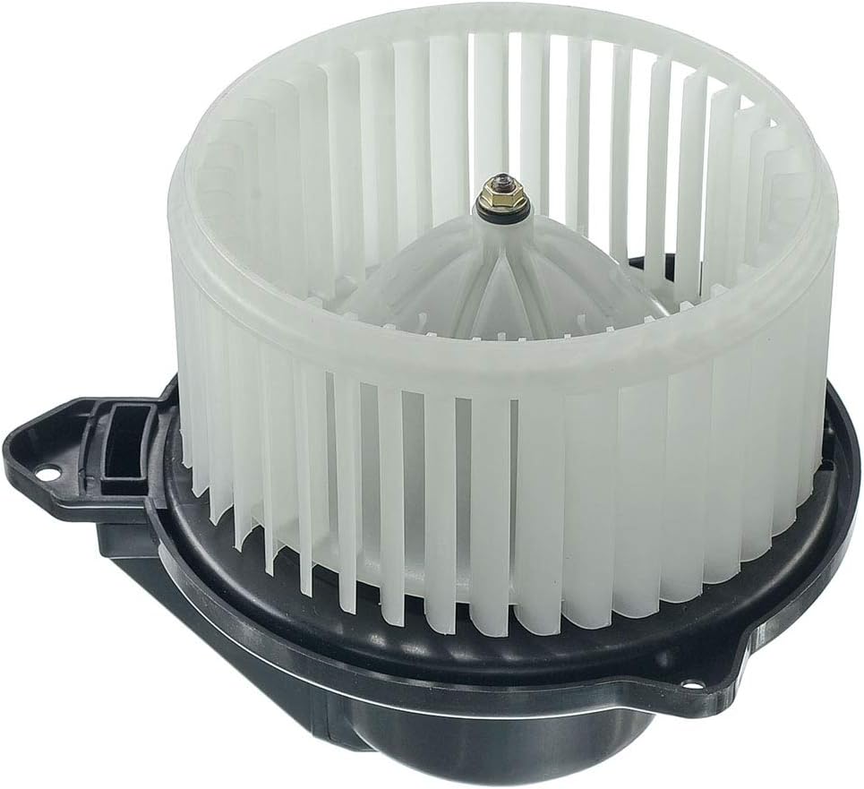Heater Blower Motor with Fan Cage Pack of 2 I3188